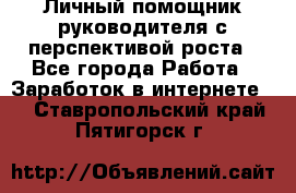 Личный помощник руководителя с перспективой роста - Все города Работа » Заработок в интернете   . Ставропольский край,Пятигорск г.